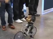 This Is The Future Of Bike Courier