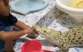 Brushing The Teeth Of Your Pet Alligator - Kids - VIDEOTIME.COM