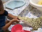 Brushing The Teeth Of Your Pet Alligator