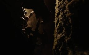 The Head Hunter Official Trailer - Movie trailer - VIDEOTIME.COM