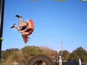 Fantastic Example Of Gymnastics
