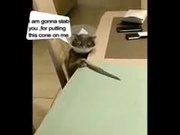 Psycho Cat Hungry For Knife