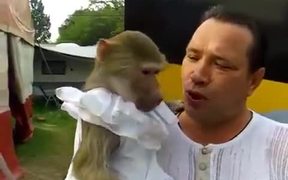 Monkey Loves To Scream On Camera - Animals - VIDEOTIME.COM