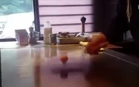 Cooking An Egg Is Art Itself - Fun - VIDEOTIME.COM