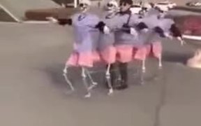 Have You Seen A Group Of Skeleton Dancing Before? - Fun - VIDEOTIME.COM