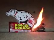 A Hilarious Pooping Dog Firecracker