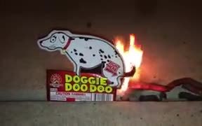 A Hilarious Pooping Dog Firecracker - Weird - VIDEOTIME.COM