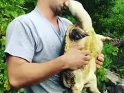 Never Try To Give A Turtle A Kiss