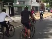 Dogs Riding A Bicycle