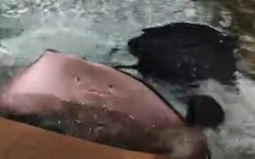 Weird Stingray In The Pool - Animals - VIDEOTIME.COM