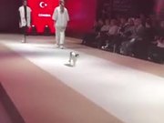 Cat Walking On The Ramp