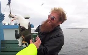 The Best Bird Catcher Ever - Fun - VIDEOTIME.COM