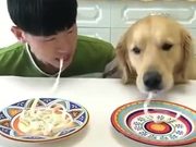 Meet The Hungriest Dog Of This Planet!