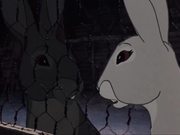Watership Down - AniMat’s Classic Reviews