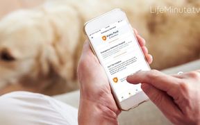 New App for Pet Lovers - Tech - VIDEOTIME.COM