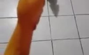 Getting Chased By A Chicken? - Animals - VIDEOTIME.COM