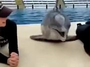 The Kissing Marathon With A Dolphin