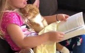 Little Girl Telling Her Cat A Bedtime Story - Animals - VIDEOTIME.COM