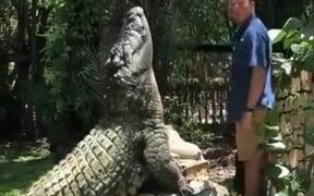 Good Boy Crocodile!