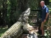 Good Boy Crocodile!