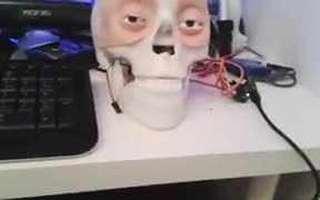 An Expressive But Scary Robot Head - Tech - VIDEOTIME.COM