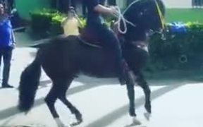 Tap Dancing Horse In Town
