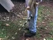 A Humongous Friendly Pet Iguana