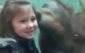 Things That Happen At The Zoo - Animals - VIDEOTIME.COM