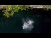 47 Meters Down: Uncaged Official Trailer