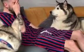 The Fart-Man And His Dogs - Animals - VIDEOTIME.COM
