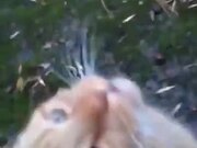 Cat Goes Absolute Bonkers When Anyone Pets It!