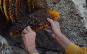 Honeyland Trailer - Movie trailer - VIDEOTIME.COM