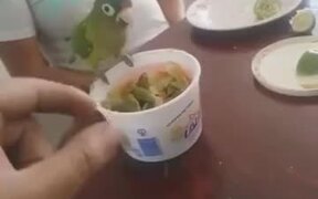 Don't Touch My Food Or Else - Animals - VIDEOTIME.COM