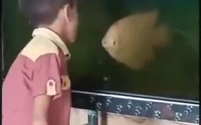 Heated Argument Between A Kid And A Fish - Kids - VIDEOTIME.COM