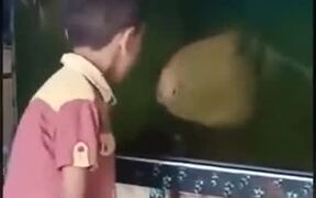 Heated Argument Between A Kid And A Fish - Kids - VIDEOTIME.COM