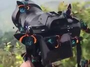 A Camera Has Been Blessed By Beautiful Butterflies