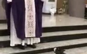 The Most Religious Dog - Animals - VIDEOTIME.COM
