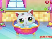Cute Kitty Care Walkthrough - Games - Y8.COM
