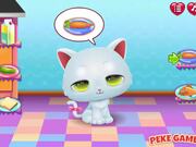 Cute Kitty Care Walkthrough - Games - Y8.com