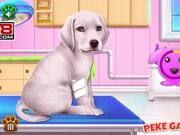 Labrador Puppy Day Care Walkthrough