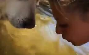 Dog Blowing Bubbles In The Water - Animals - VIDEOTIME.COM