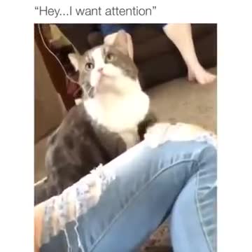 When You Really Want Attention