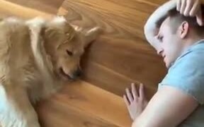 Fetching, But You Don't Want To Get Up - Animals - VIDEOTIME.COM