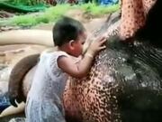 Its All Fun And Games Until The Elephant Snaps