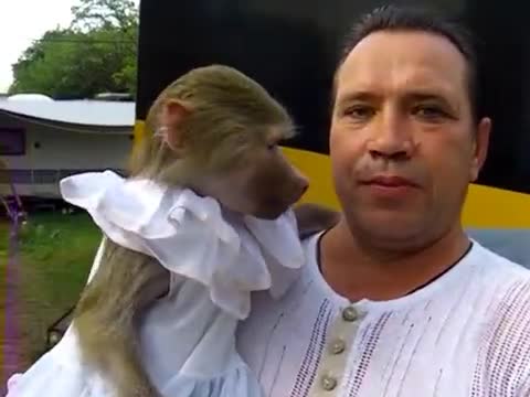 Humans Are Descendants Of Monkeys After All
