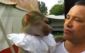 Humans Are Descendants Of Monkeys After All - Animals - VIDEOTIME.COM
