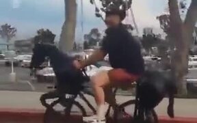 Who Said Bicycles Are Boring?! - Fun - VIDEOTIME.COM
