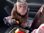 The Monkey Be Like, "Can I Have Some?"