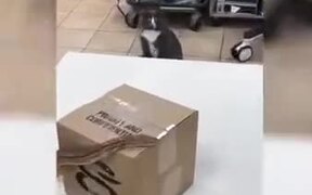 Duke Catto Gets Ready To Fight The Enemy