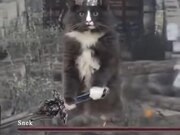 Duke Catto Gets Ready To Fight The Enemy